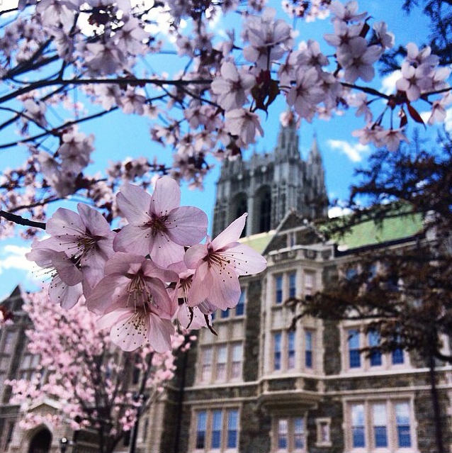 University Marketing - Boston College.PNG