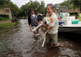 hurricane-harvey-rescuing-dog.jpg