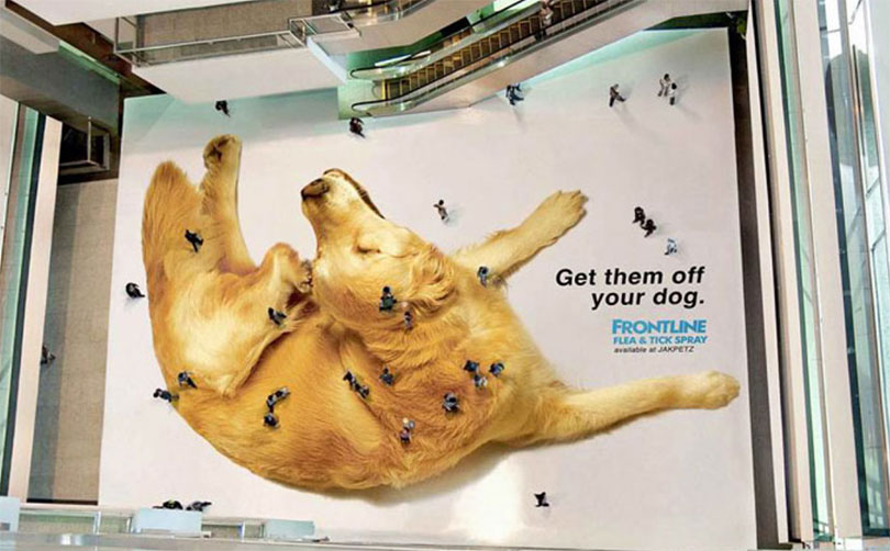 What kind of dog is in best sale the frontline plus commercial